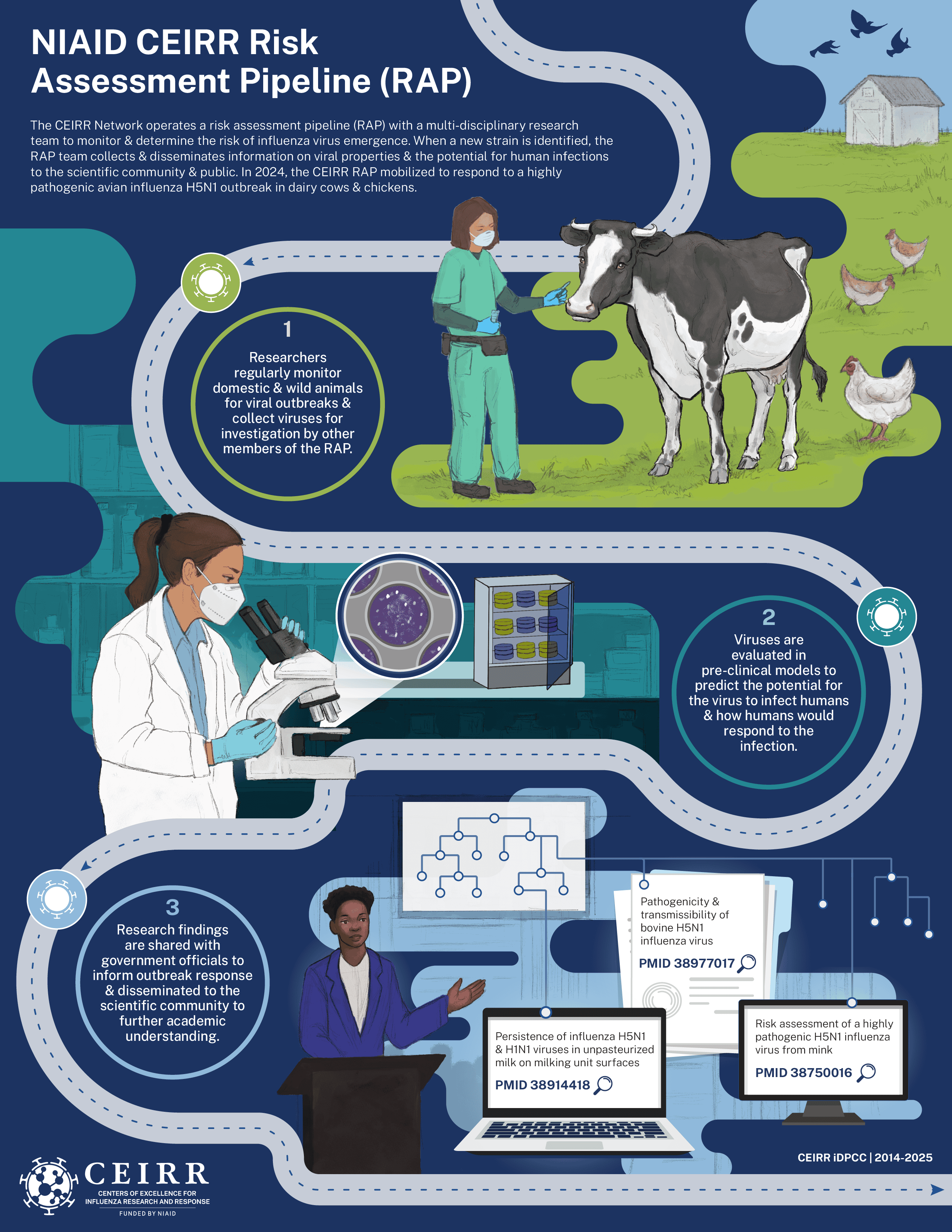NIAID CEIRR Risk Assessment Pipeline (RAP) Infographic